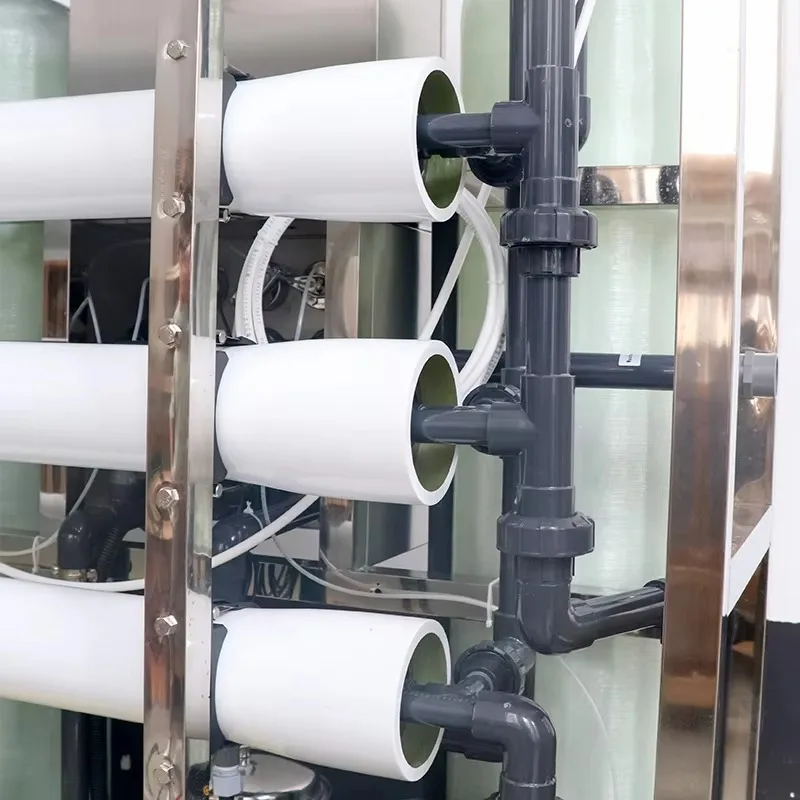 High Cost Effective Whale Brand Alkaline Water Treatment System RO Filter Pump PLC Gearbox Pressure Vessel Core Water Storage