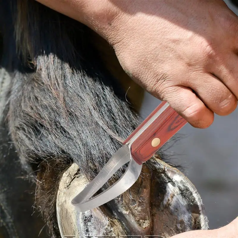Cortador de pezuña de acero al manganeso, herramienta profesional de Farrier de caballo, pinza de pezuña, Lima de zapatos, mango de raspado, herramienta de corte de pezuña