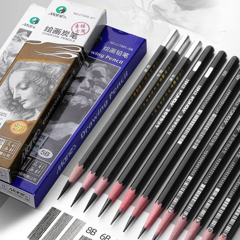 12pcs Sketching Charcoal Artist Drawing Sketching Carbon Pencil Set Soft Medium Hard Charcoal Pencil for Fine Art Shading