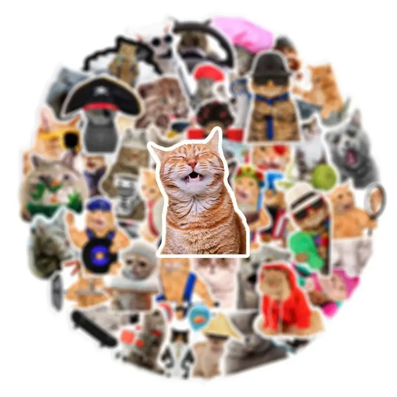 Stiker kucing lucu 66 buah stiker anak kucing lucu stiker hewan menyenangkan untuk botol air Laptop telepon buku tempel koper Jurnal