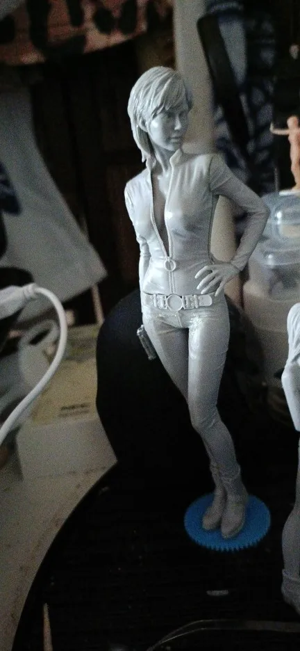 Buyer photo of this resin kit