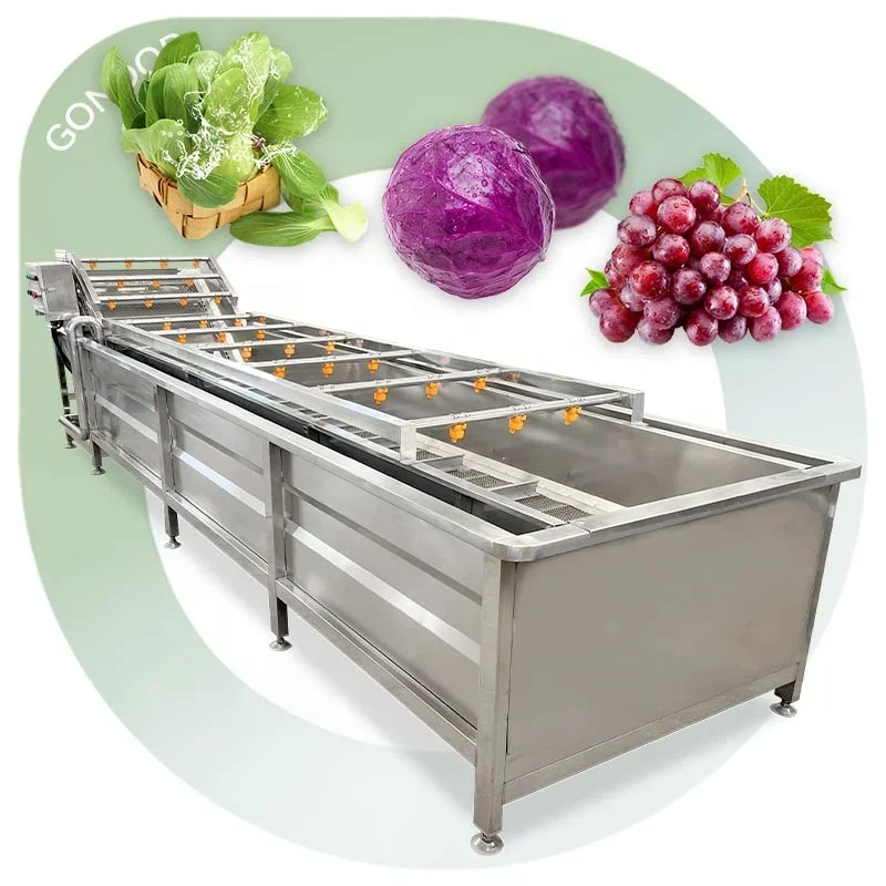 Industry Restaurant Food Leaf Cleaner Fruit Meat Vegetable Purifier Washer and Vegetable Wash Machine