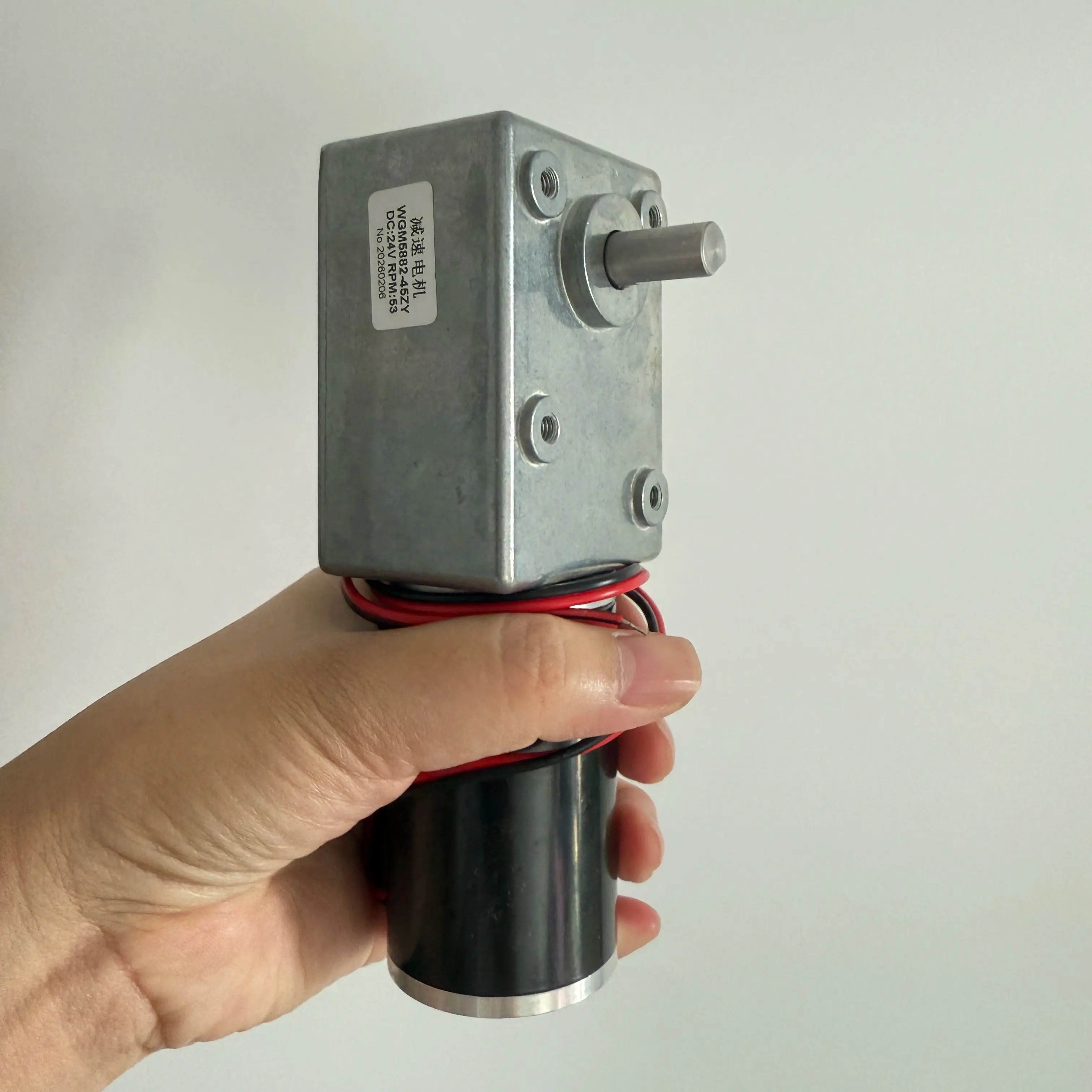 5882-45zy DC12V 24V Self-Lock Reduction Gearmotor 250kg.cm Holding Torque Metal Worm Gearbox DC Low RPM Dual Output Shaft