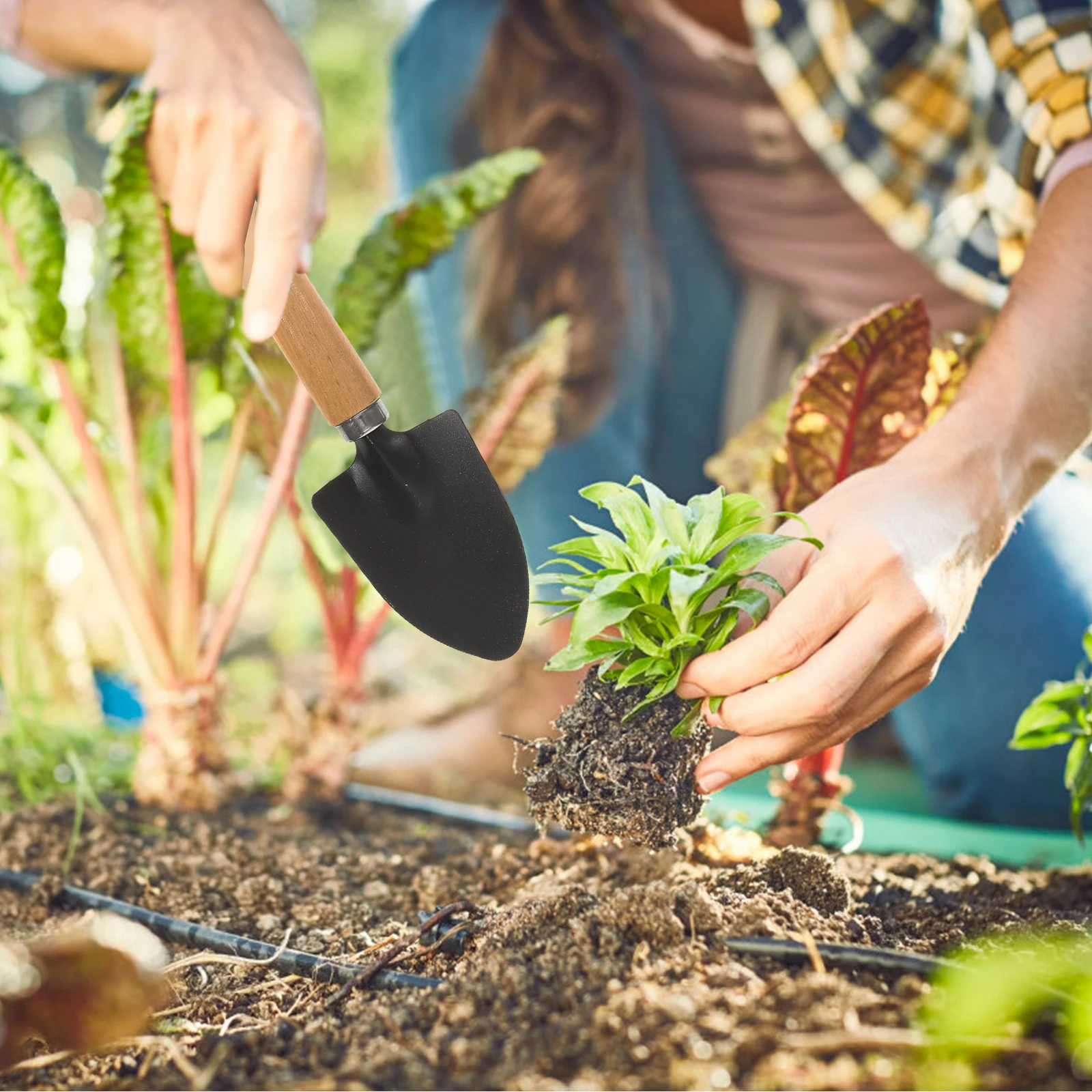 3 Buah Set Tiga Potong Alat Berkebun Sekop Mini Sekop Berkemah Rake Dalam Ruangan