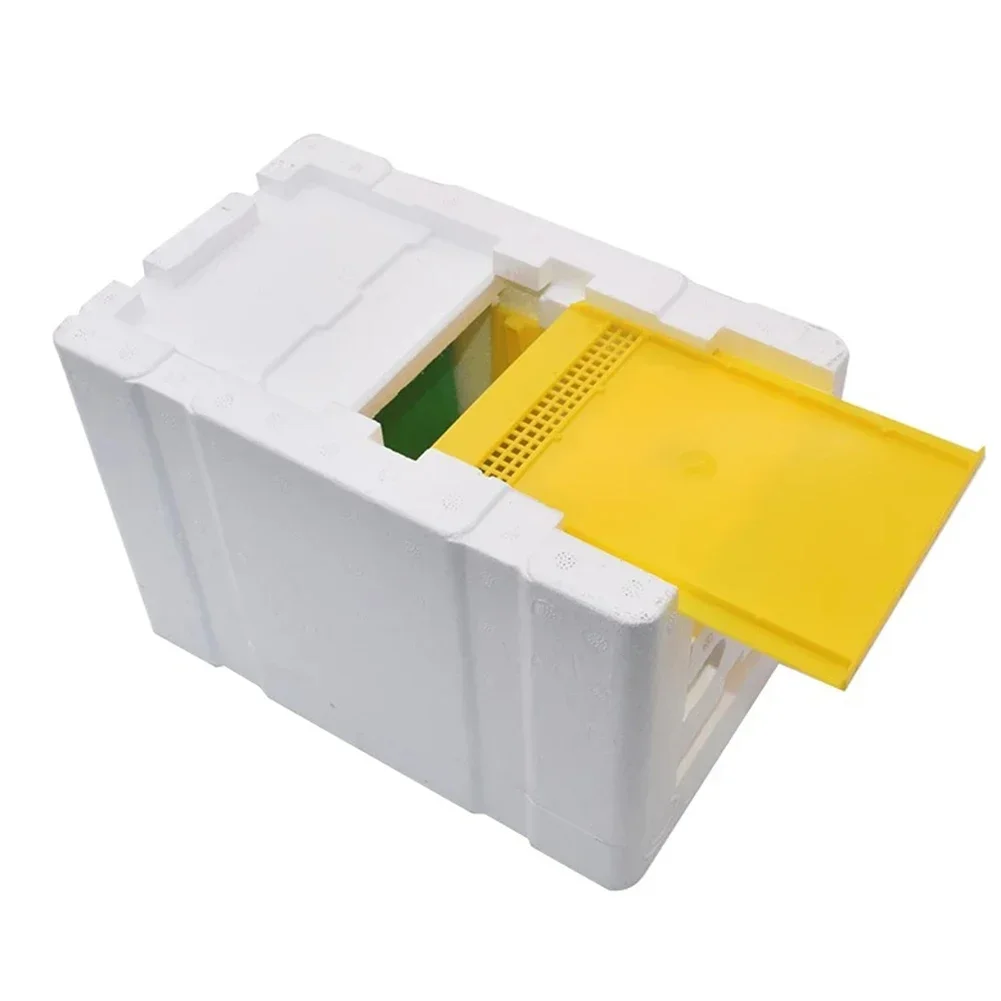 

Queen Bee Mating Box Mini Nucleus Hive Breeding Harvesting Beekeeping Tools 9.45x6.5x5.9 Inch Foam Beekeeping Pollination Box