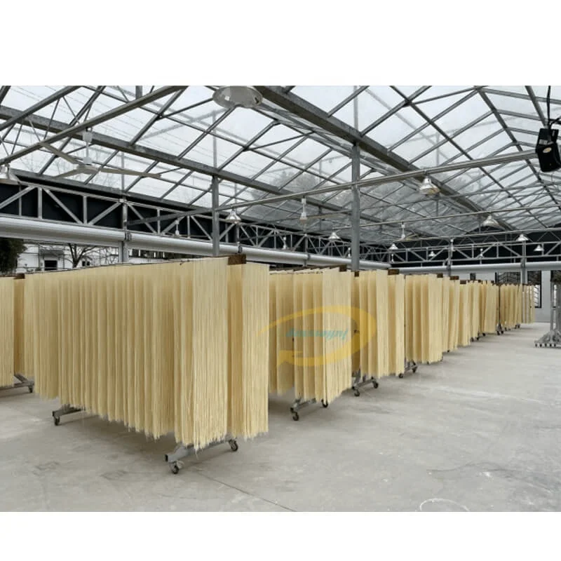 Hot SellingNoodle Making Machine Pasta Noodle Making Line Dry and Fresh Automatic Noodle Making Machine