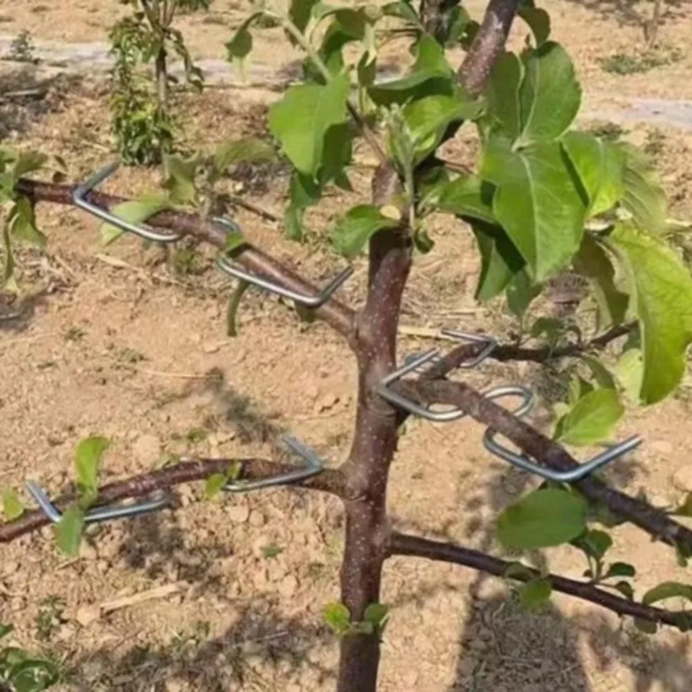 10Pcs M-Shaped Fruit Tree Branch Puller Shape Fixator Branch Bends Branch Bending Tools Heavy-Duty Metal Plant Support Tool