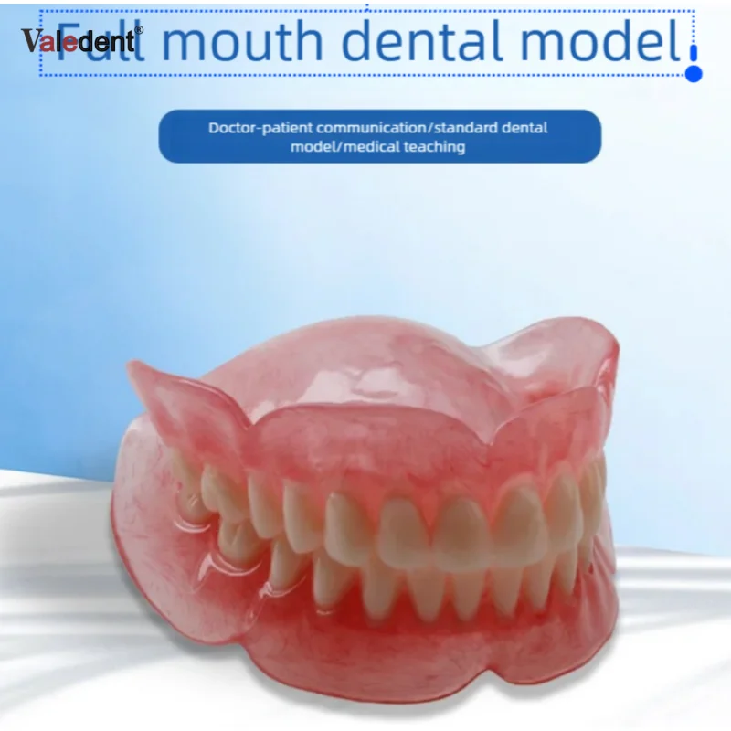 Dental Teaching Models Dentures Crowns Invisible Dentures Movable Tooth Model Doctor Patient Communication Model Practice Model