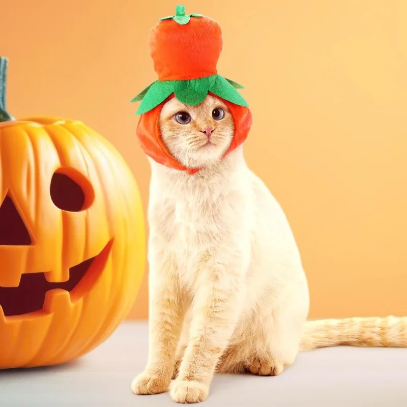 

Pumpkin Witch Funny Hat for Cat Christmas Costume Pet Hat Halloween Cosplay Keep Warm Headwear Dogs Hats Puppy Accessories