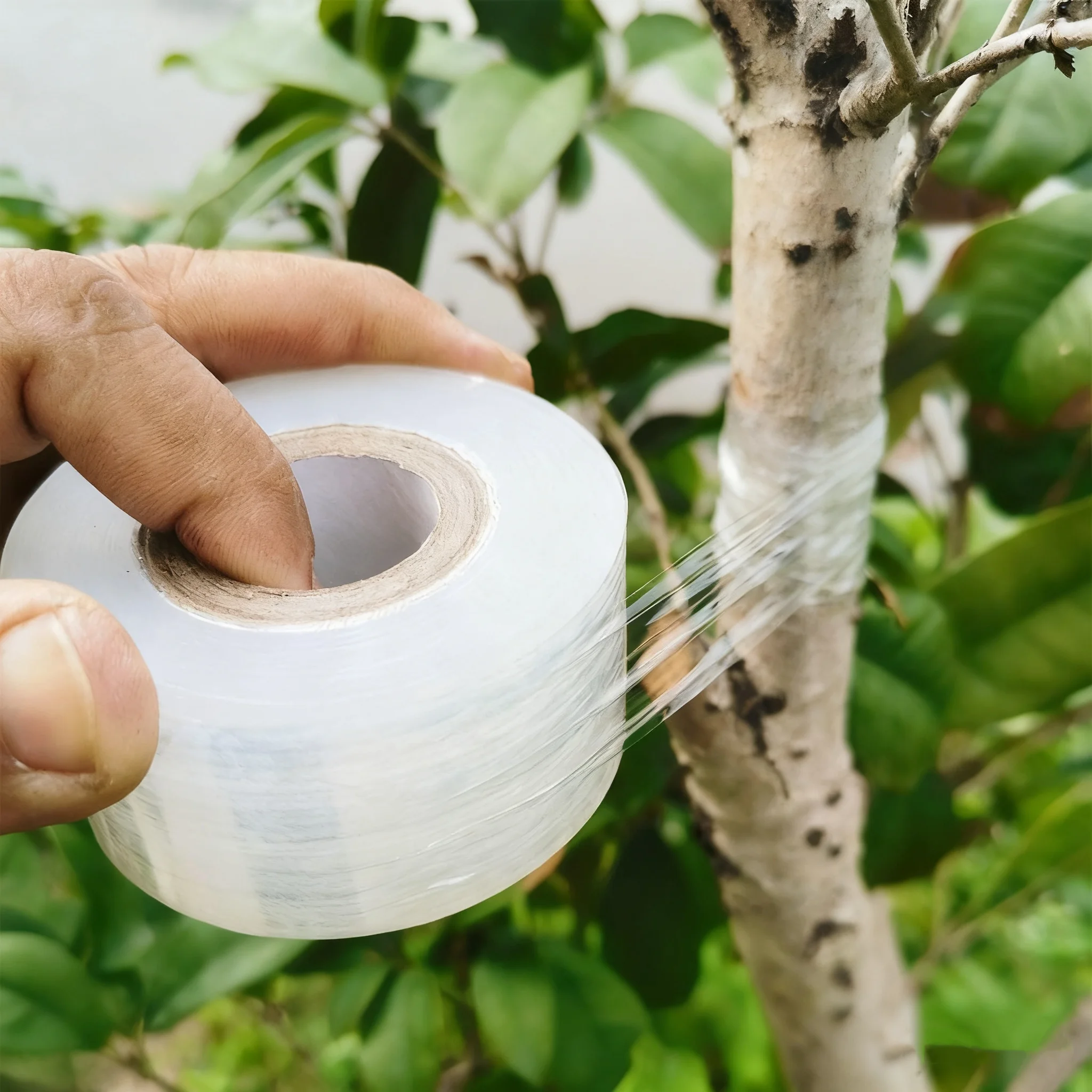 Self-Adhesive Pe Gr…