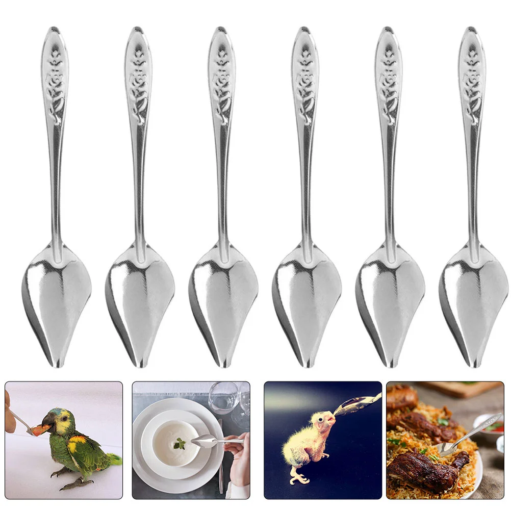 6 Pcs Accessories Stainless Steel Spoon Baby Food Injector Automatic Bird Feeder for Cage Parrot Feeding Supply