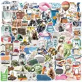 50PCS