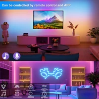 5V RGB+IC Neon Strip Light 1M 2M 3M 5M 10M USB Waterproof Flexible LED Strip Lights With Bluetooth Remote Control For Home Decor 5