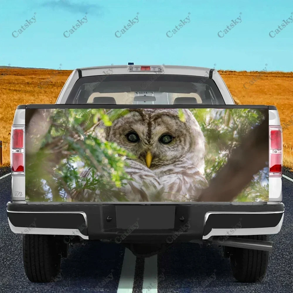 

Owl cute animal Car stickers, truck rear decoration, painting, car modification stickers, car accessories, rear decals