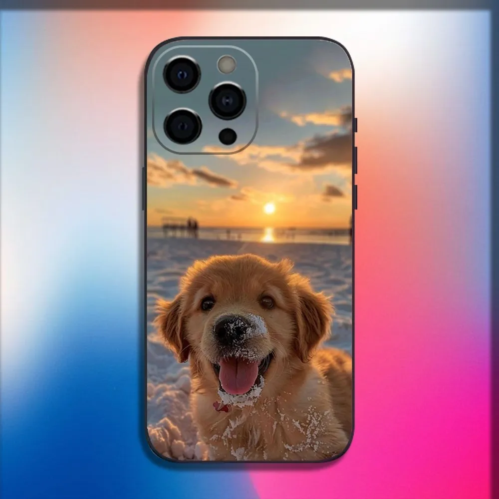 Golden Retriever Dog Pet Phone Case For iPhone 16,15,14,13,12,11,Pro,X,XS,Max,XR,Plus,Mini Soft Black Cover