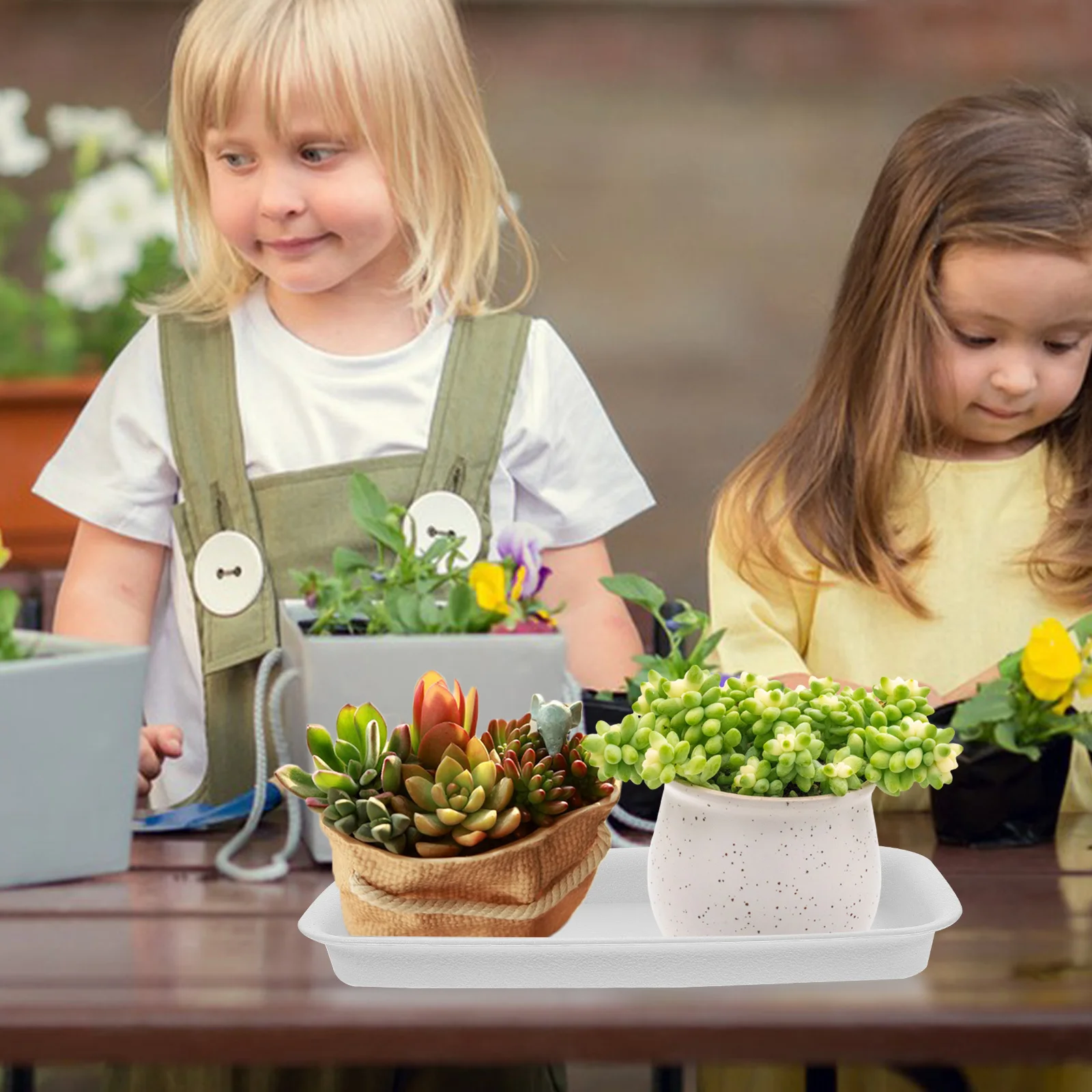 

4Pcs Plastic Rectangle Plant Drip Tray with Deep Groove Plant Saucer Indoor Pot Tray Water Catching Floor Protector