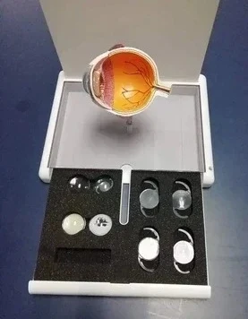 

Cataract eye model Eye anatomy model Medical anatomical teaching AIDS