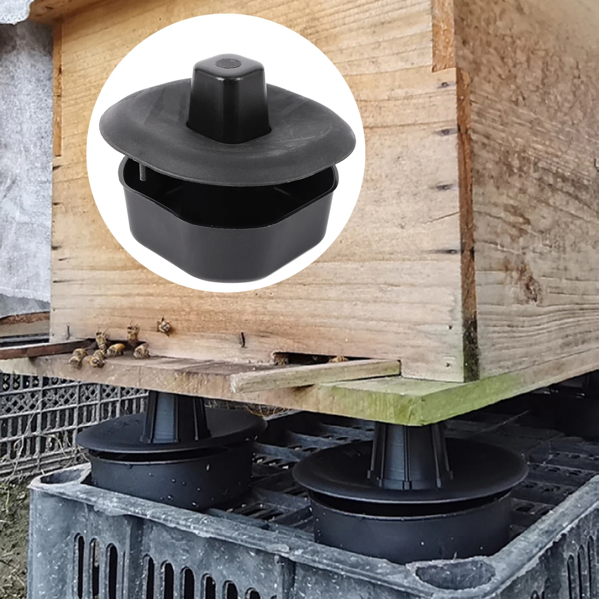 Outdoor Beehive Anti Ant Stand Outdoor Bee Hive Sink Base Termite