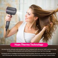 5 in 1 Electric Ionic Hair Dryer High Speed Bladeless HairDryer Negative Ion Professional Super Leafless Hair Dryer HairDryer