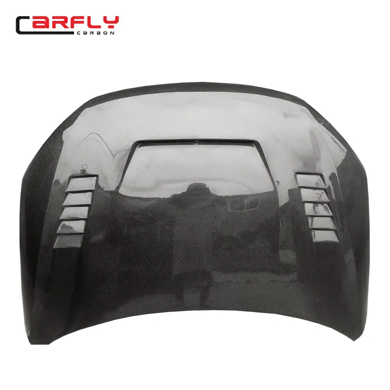 Carbon Fiber Car Tu…