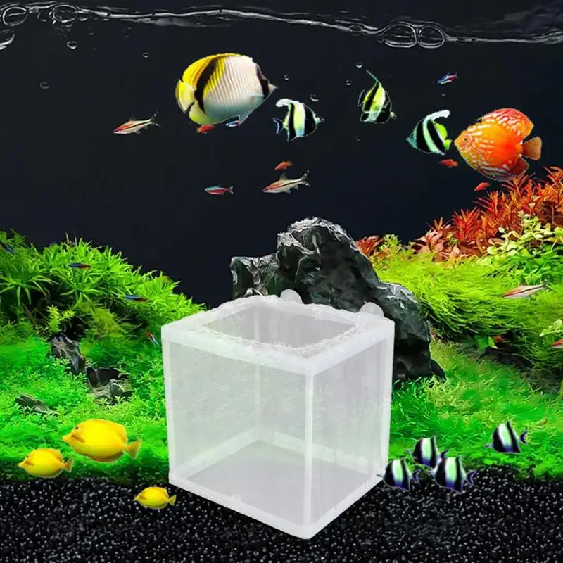 Fish Breeding Box Fish Isolation Box Mesh Box Fish Fry Hatchery With Suction Cups Juvenile Fish Separation Net For Fish