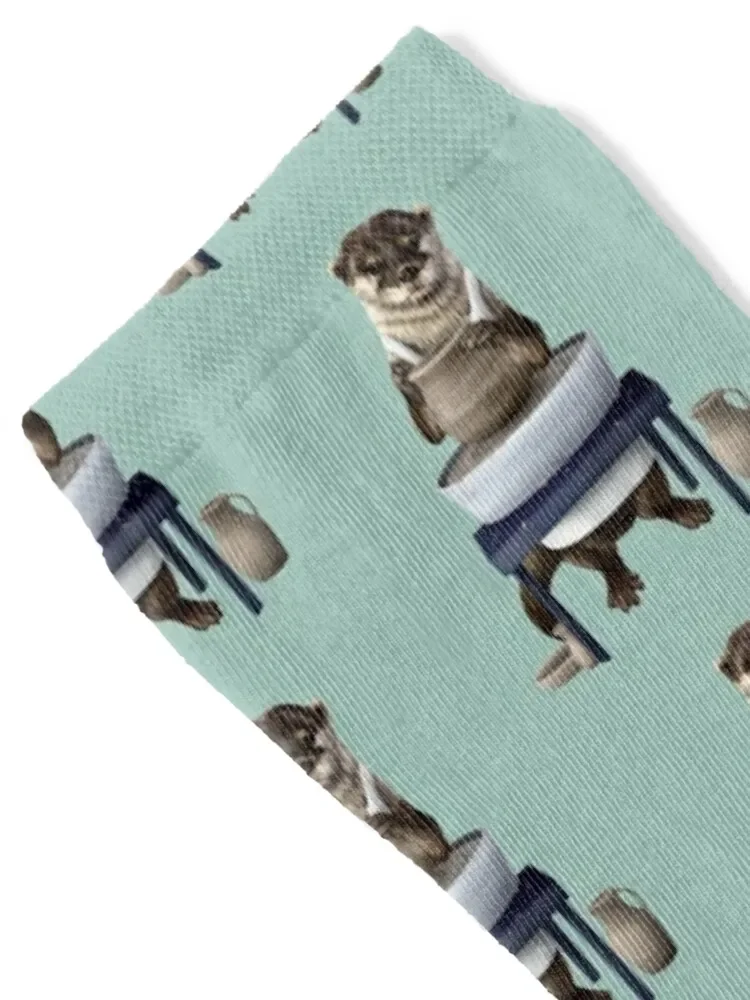 Otter potter Socks halloween men cotton high quality Stockings compression Socks For Women Men's