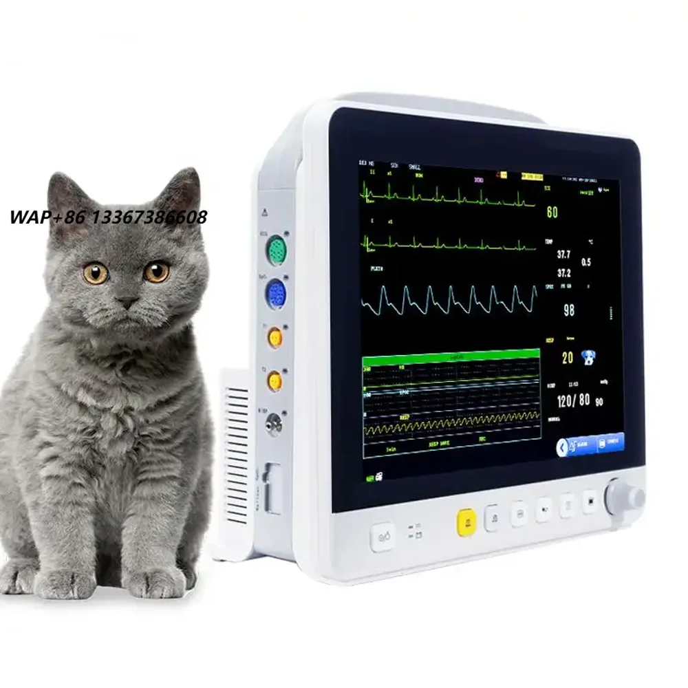 VS-V598 12-inch Portable Animal Multi-Parameter Veterinary Monitoring Veterinary Equipment Instrument