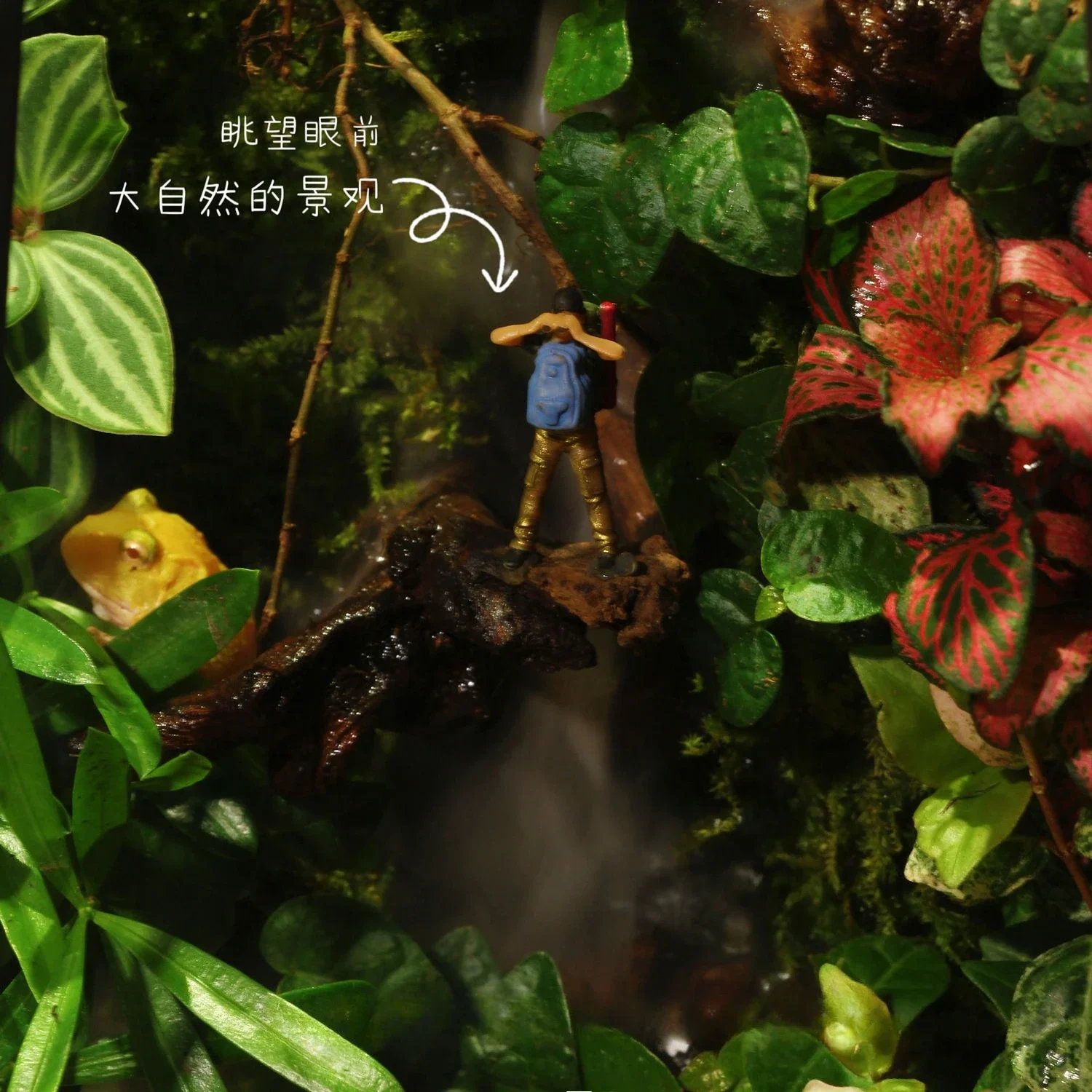 Creative flowing water smoke landscaping fish tank desktop moss micro landscape finished glass fish tank ecological tank fish