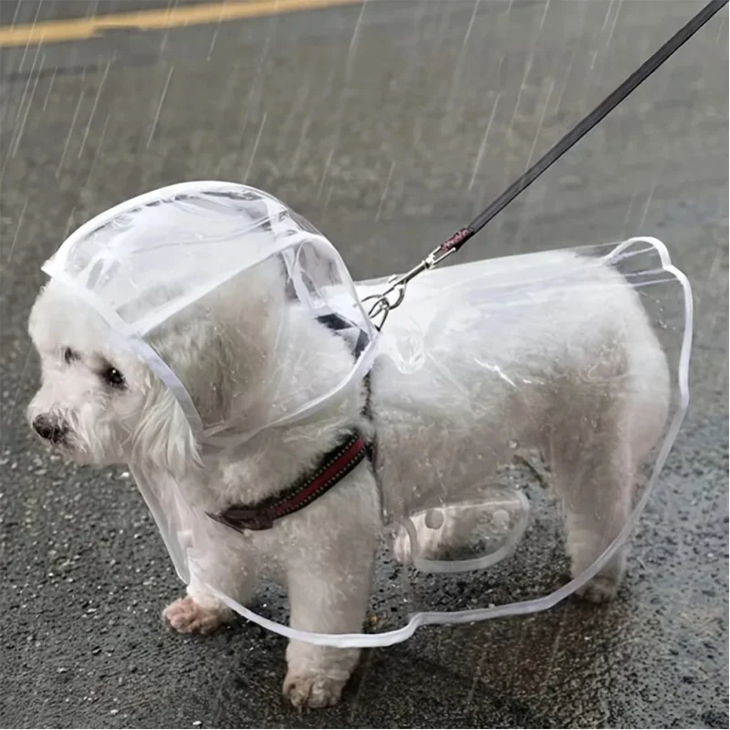 Transparenter Wasserdichter Hunde-Regenmantel, Regenmantel für Kleine und Mittelgroße Hunde, Teddy und Bichon Frise für Regentage-Spaziergänge