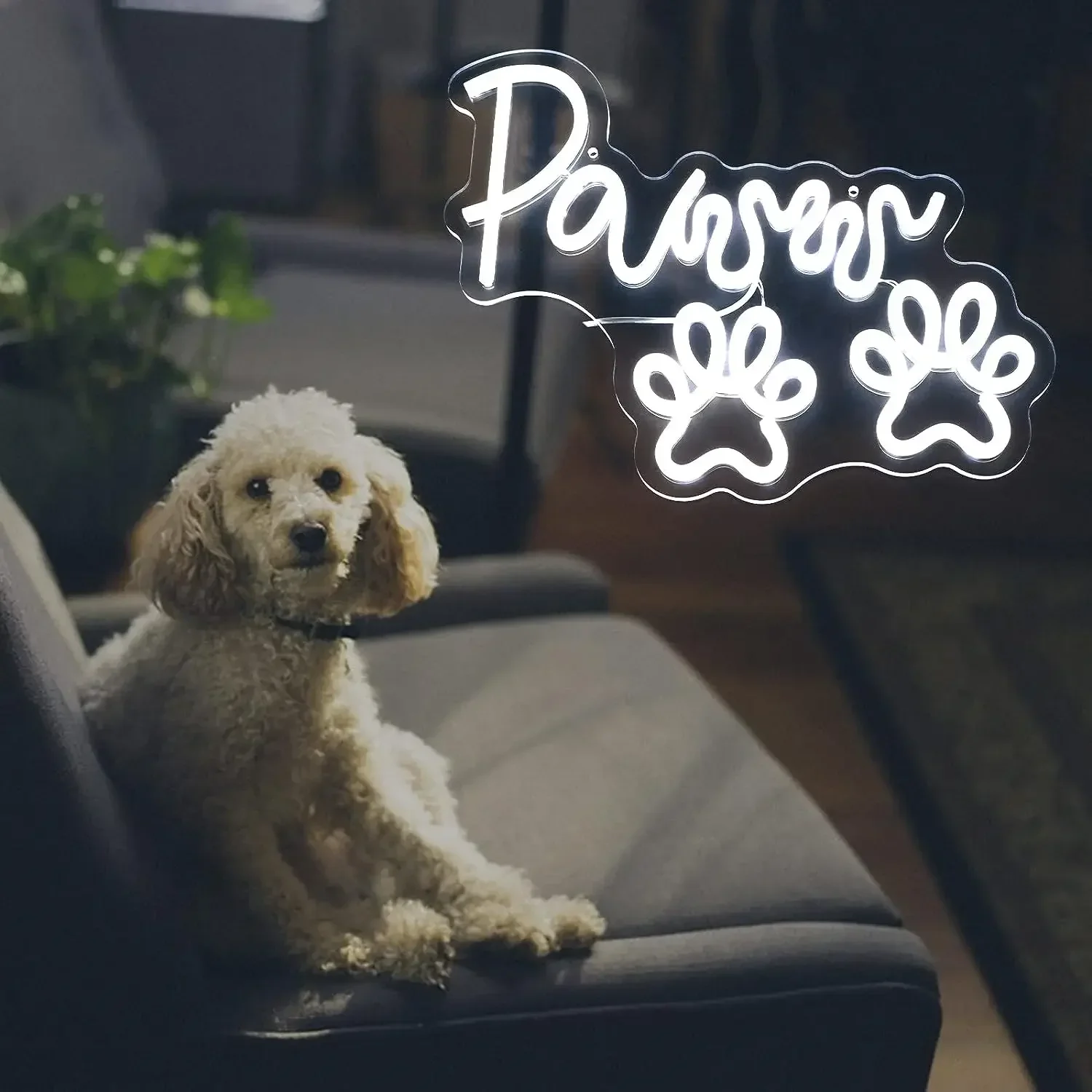 Paws White Neon Sign Cute Pet Paw Print LED Wall Art Acrylic USB Powered Dimmable Light For Animal Lover Bedroom Salon Decor