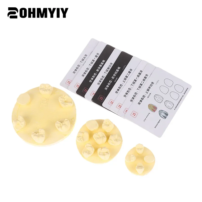 

Dental Inlay Exercise Model Block Filling Exercise Plaster/Resin Materials Oral Filling Model For Dentistry Teaching Study