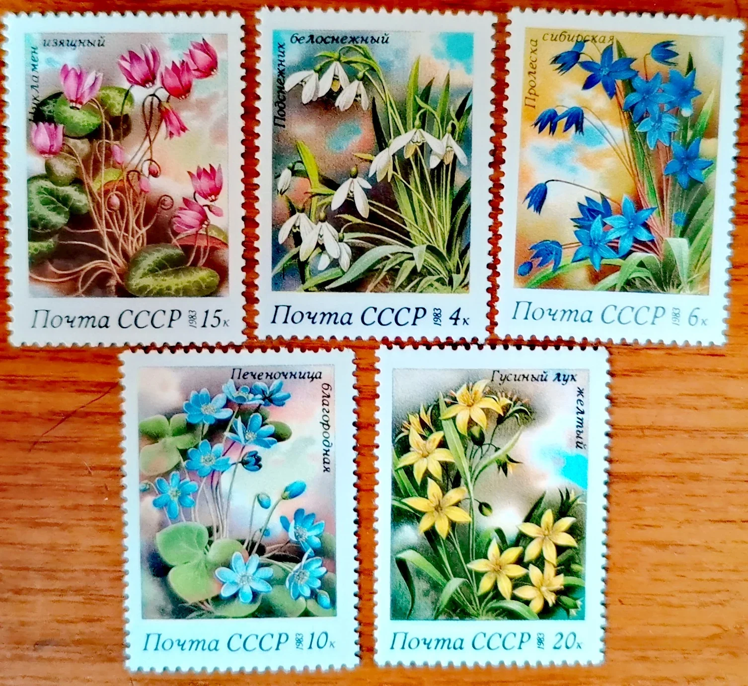 5Pcs/Set New Ussr C…