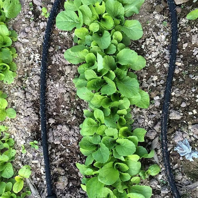 

AT21-15M Micro Drip Irrigation Hose Soaker Tube For Efficient Watering Of Gardens For Efficient Watering Of Household Gardens