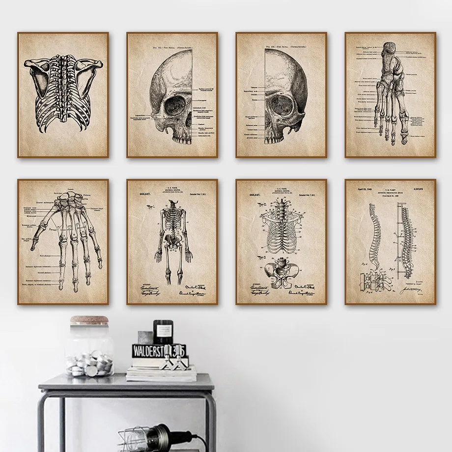 

Vintage Anatomy Skull Spine Blueprint Nordic Poster Wall Art Print Canvas Painting Medicine Pictures Doctor Room Hospital Decor