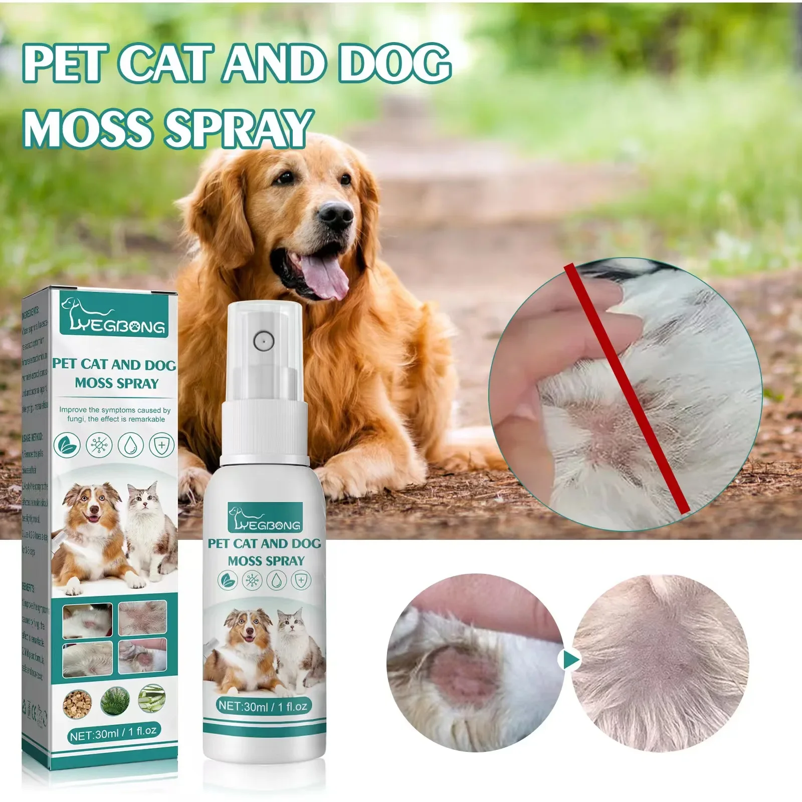 

And Dog Skin-Disease Problems Ringworm for Dogs Itching Relief