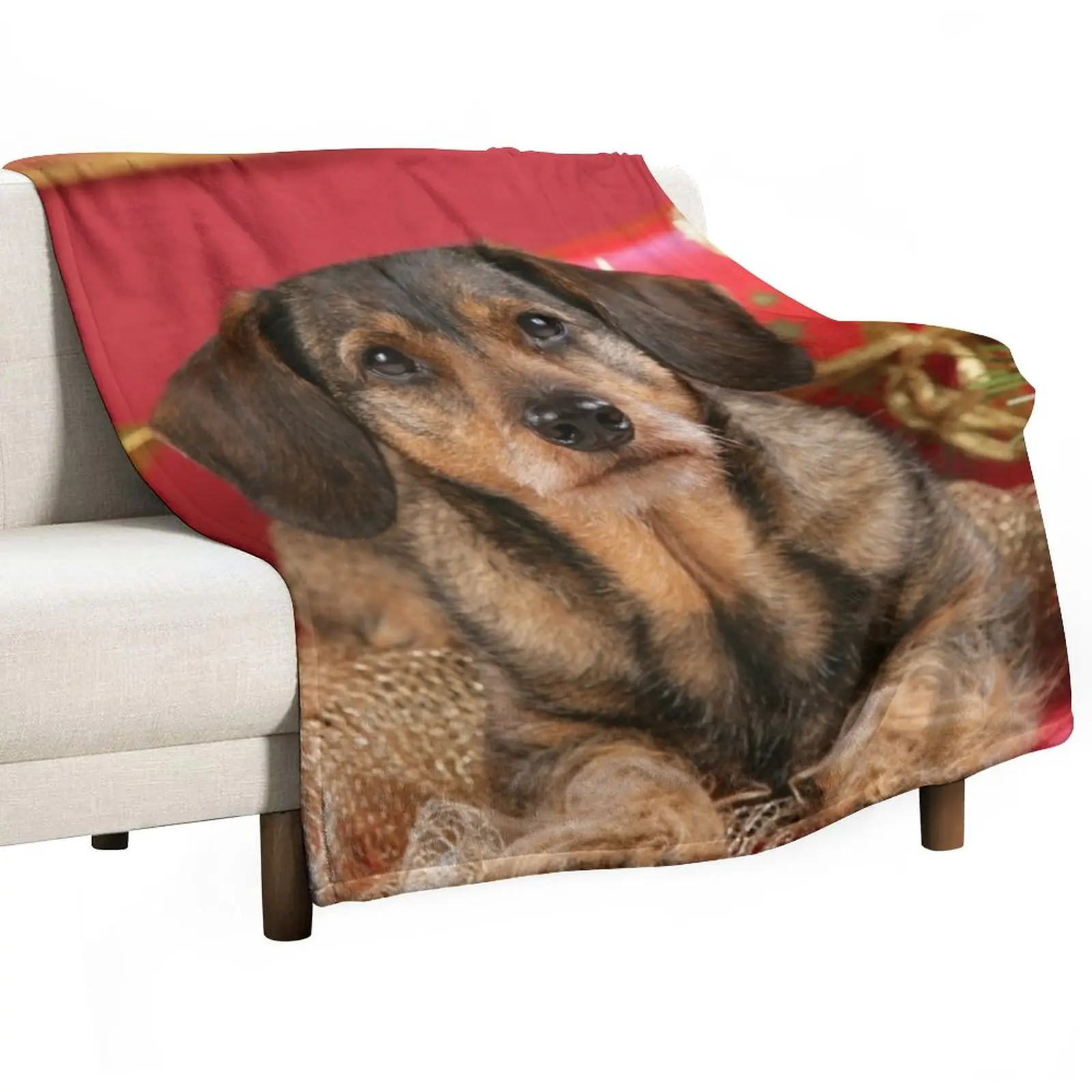 Sweet wire-haired dachshund dog wishes Merry Christmas Throw Blanket Comforter Decorative Sofas Bed linens Cute Blankets