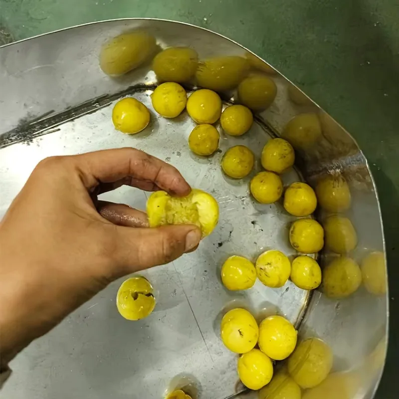 آلة بيتر البرقوق الأوتوماتيكية آلة تثبيت الفاكهة بالزيتون/البرقوق/الصينية