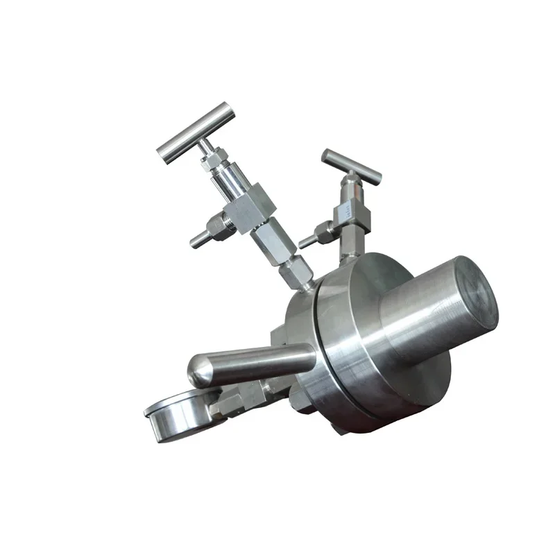 Lined Hydrothermal Synthesis Autoclave Reactor