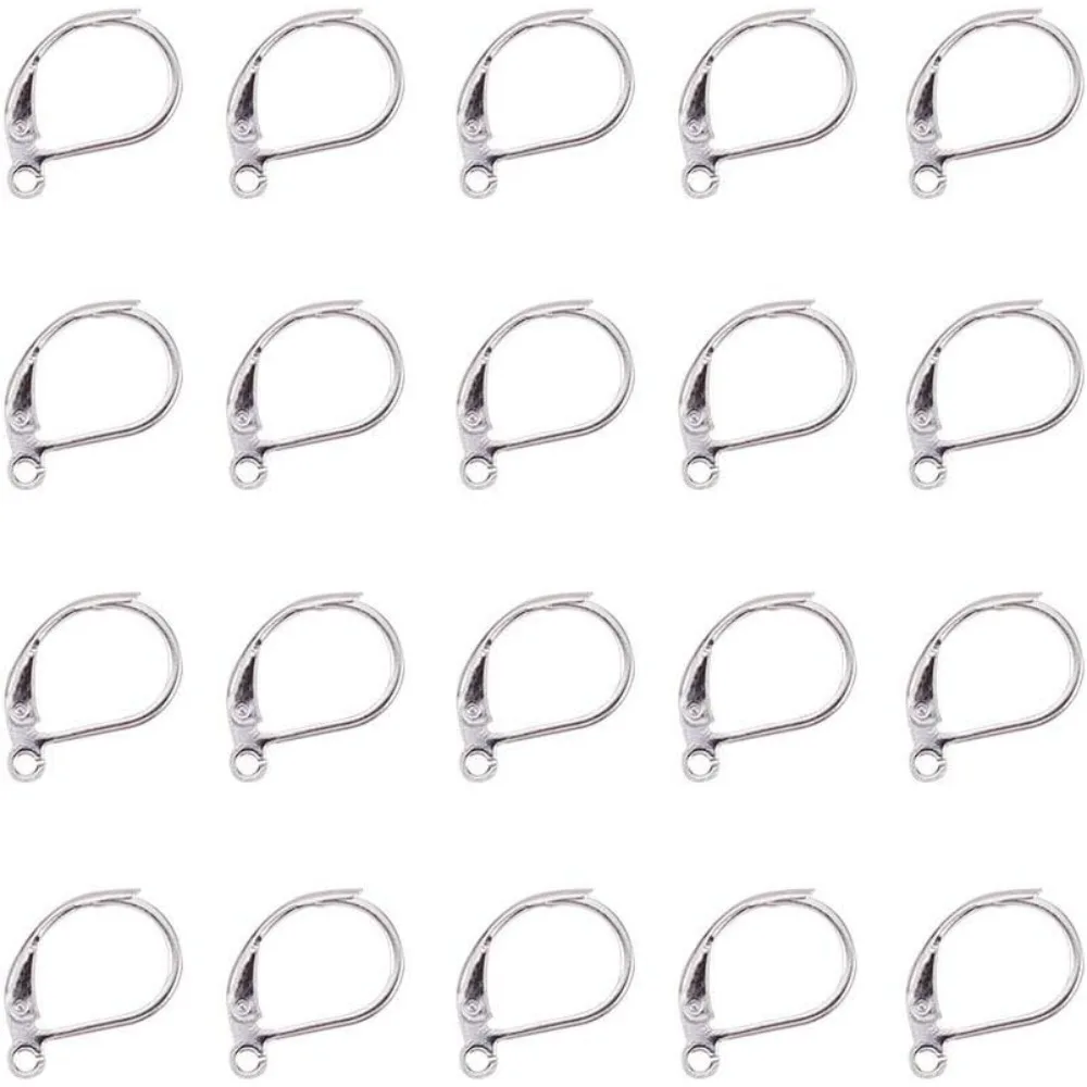 50 Pcs 304 Stainless Steel Leverback Earring Findings with Loops Metal Interchangeable Leverback Earwires French Hook Earring