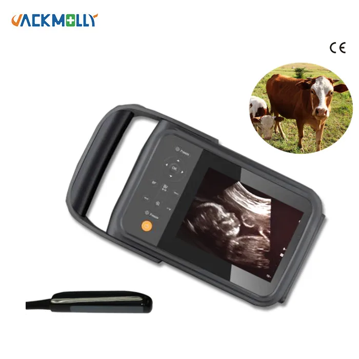 

JM-808F Veterinary Portable B Ultrasound Equipment Animal Pregnancy