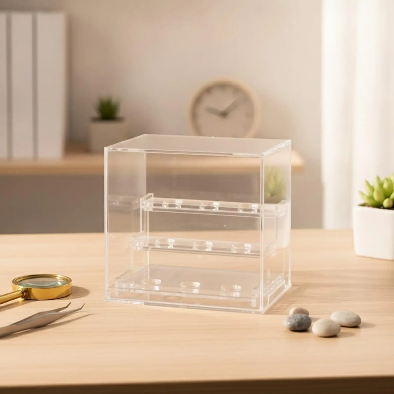 Acrylic Crystal Showcase with Circular Holder Openings for Stones Minerals Specimens Display Case for Desk Shelf Cabinet