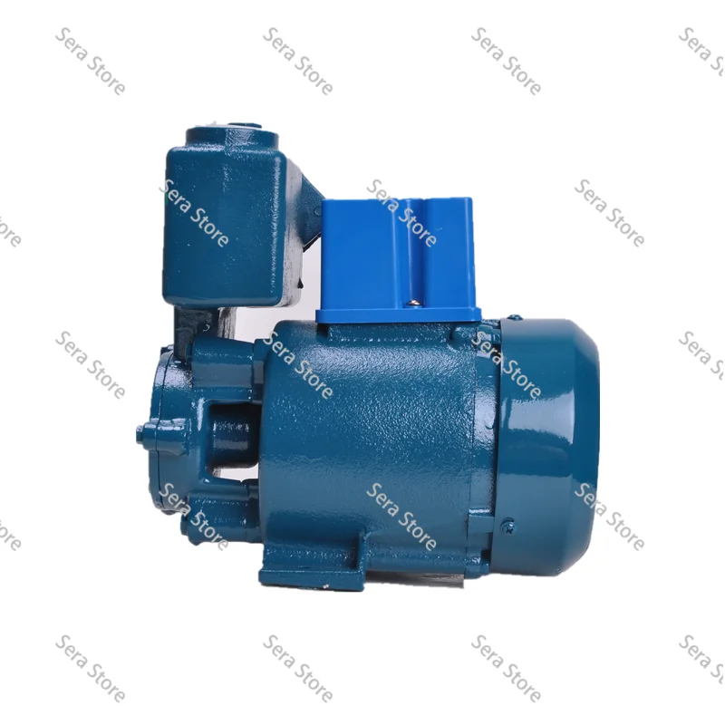 Vortex Self-priming Pump 12V24V Centrifugal Pump Cube High-lift 15M Solar Battery Powered  Water Pump QB60