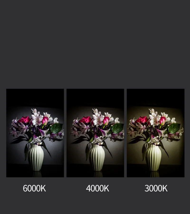 IP65 مقاوم للماء COB LED السقف النازل في الهواء الطلق شرفة الحمام سطح شنت اسطوانة 60 واط 12 واط 18 واط بقعة تركيبة إضاءة