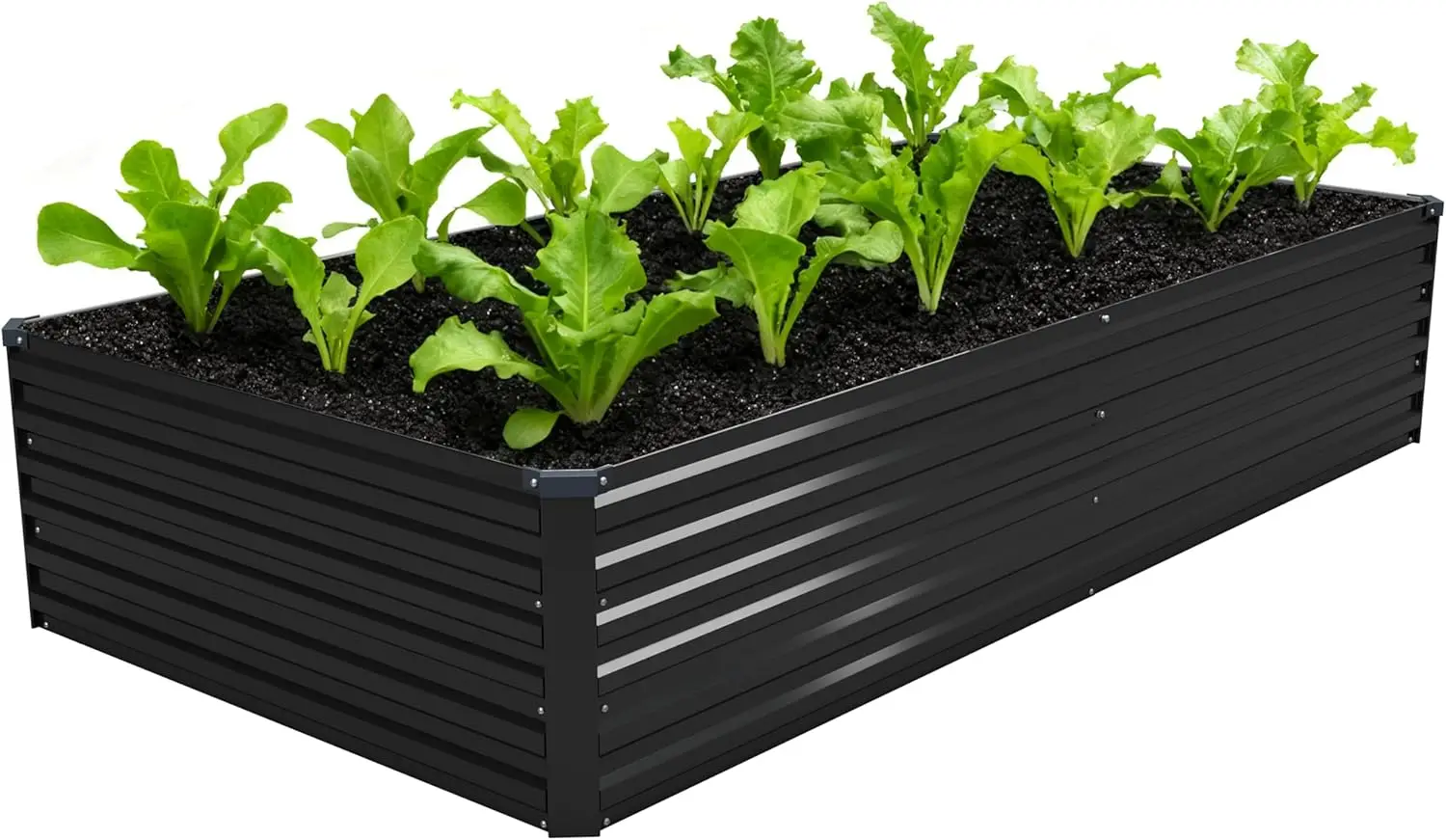 

Оцинкованная приподнятая грядка 8x4x1.5 футов, металлический ящик-клумба для овощей, трав, цветов - черный