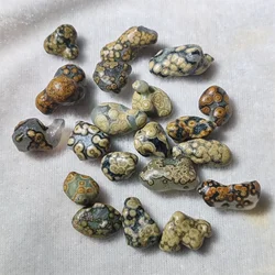 1pcs/lot Natural Gobi Agate Rough Rare special Jadeization Eye stone on white background Not punched The world's strongest power