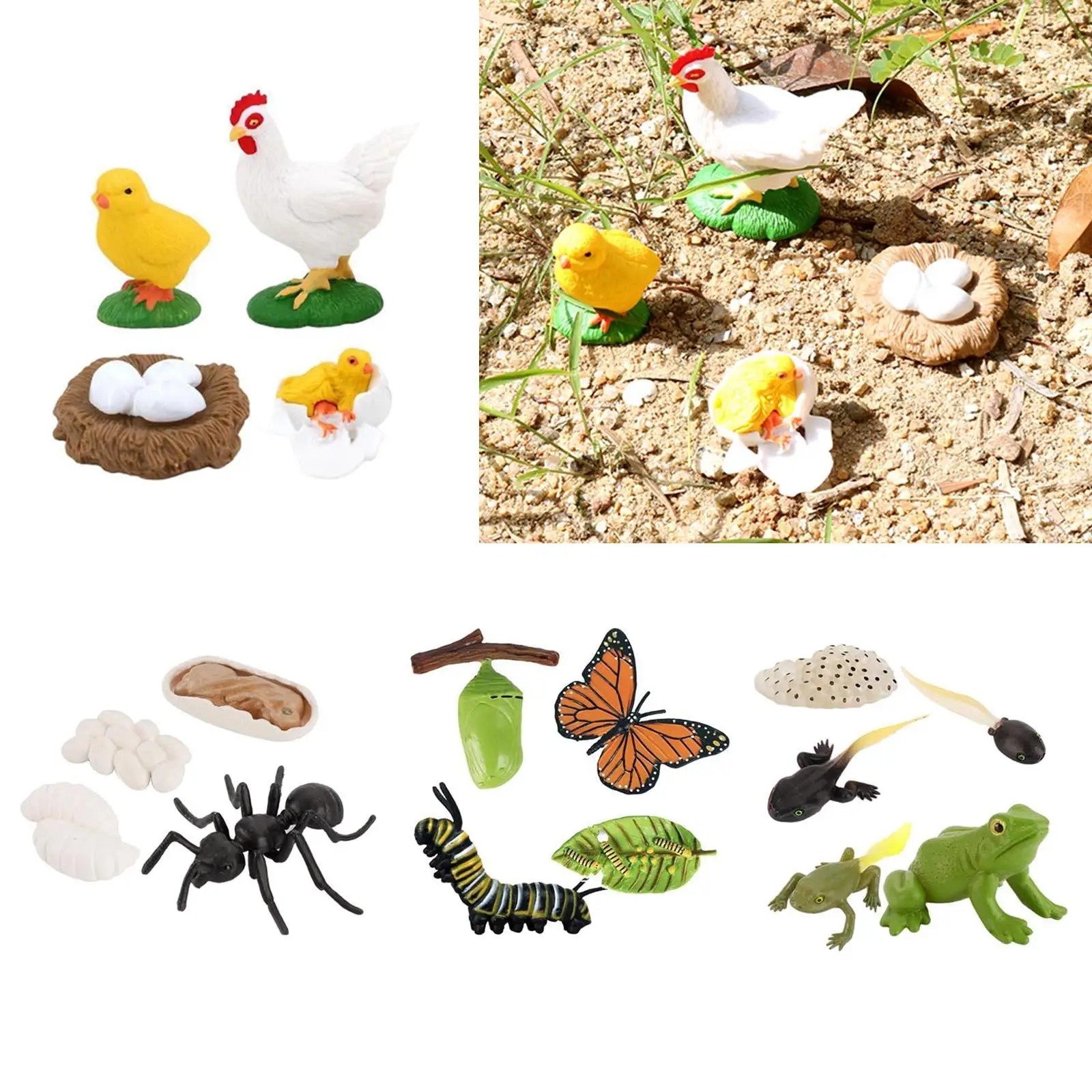 Children's Toy Simulation Set Growth Process Animal Figure Set