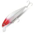 MINNOW D