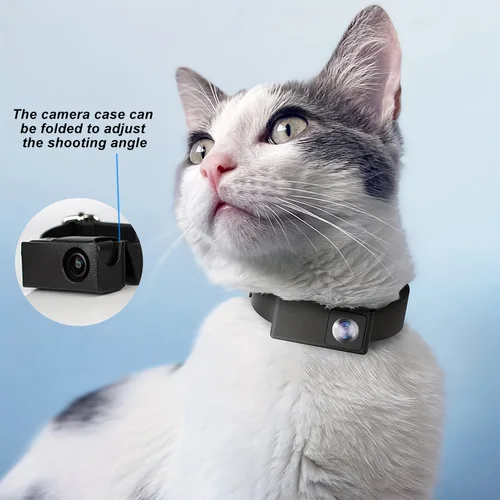 Imagen 1 del producto BORME HD 1080P cámaras para mascotas perro gato mascota cámara inalámbrica Collar cámara No WiFi necesario registros de vídeo para gatos perros regalo de cumpleaños