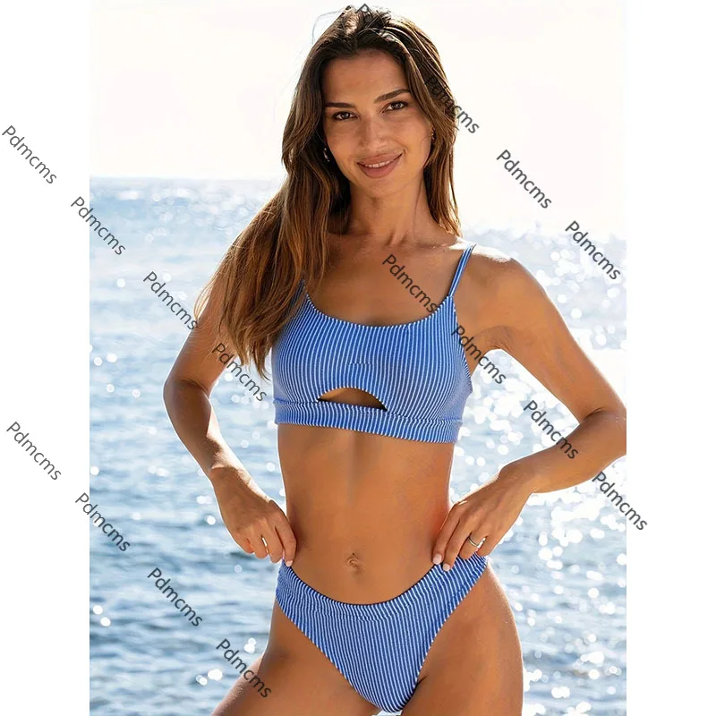 

2025 new European and American striped sexy bikini split swimsuit women's three-point beach swimsuit bikini