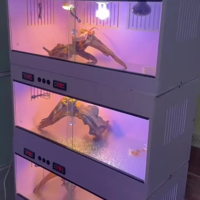 New durable and environmentally friendly PVC reptile feeding box Constant temperature  turtle spider incubator feeding box